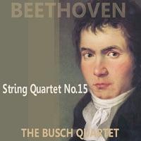 Quartet No. 15 in A Minor, Op. 132 : II. Allegro ma non Tanto