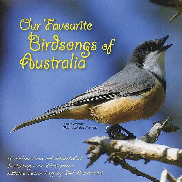 Brush Cuckoo, White-Bellied Cuckoo-Shrike, Laughing Kookaburra, Noisy Friarbird, Dollarbird