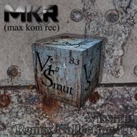 Friendship (Vissmut Remix)