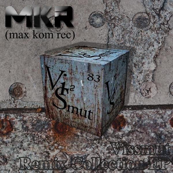 Friendship (Vissmut Remix)