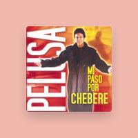 Pelusa