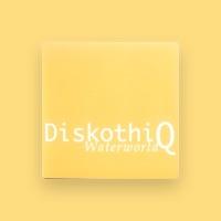 DiskothiQ