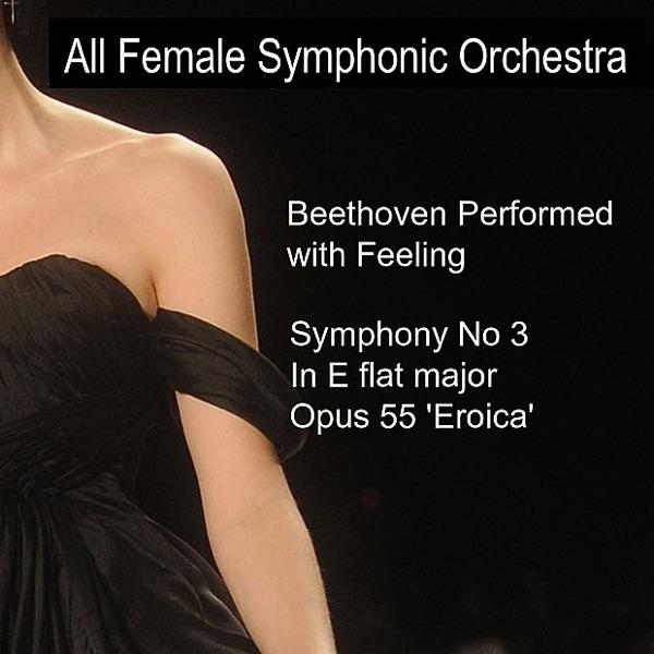 Symphony No. 3 in E-Flat Major, Op. 55 - "Eroica" : I. Allegro con brio