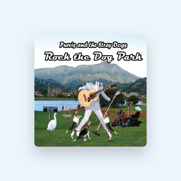 Purvis and the Stray Dogs
