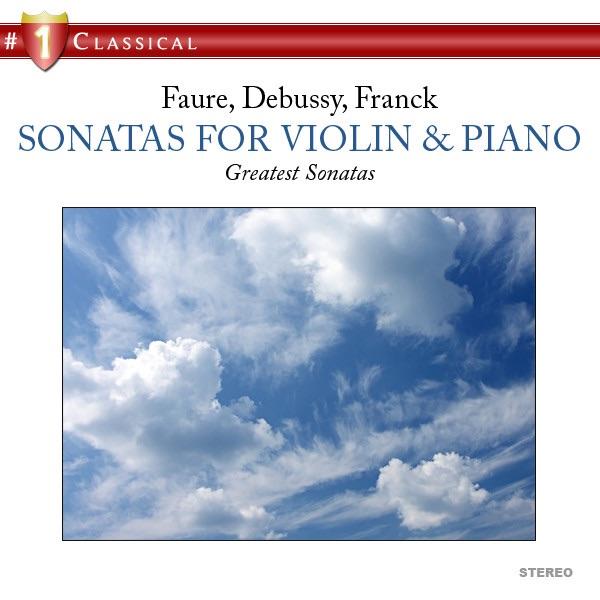Sonata in G Minor for Violin and Piano, L 140: I. Allegro vivo (Live)