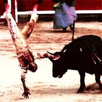 Feel the Pain