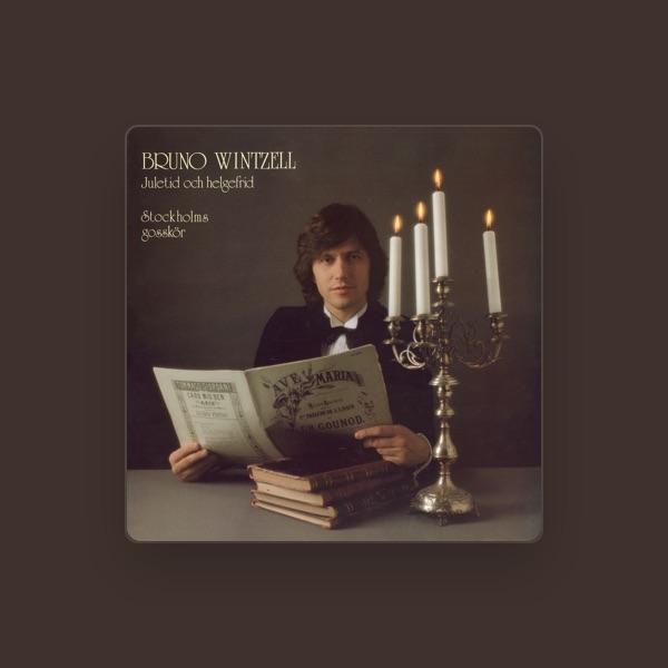 Bruno Wintzell