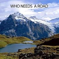 Who Needs a Road