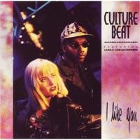I Like You (Jungle Mix) [feat. Lana E. & Jay Supreme]