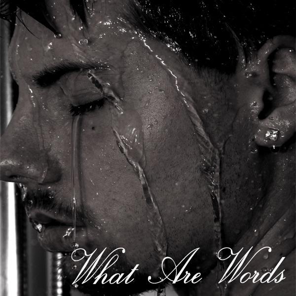What Are Words