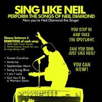 Song Sung Blue (No Lead Vocal)