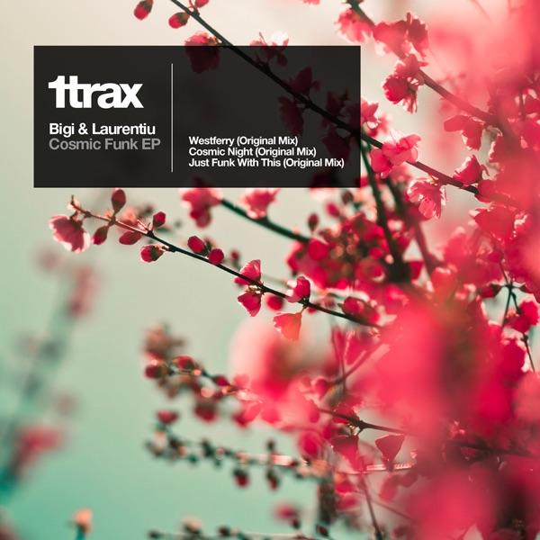 Cosmic Night (Original Mix)