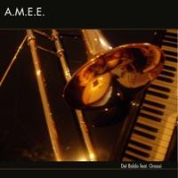 A.M.M.E.