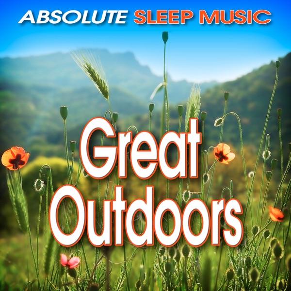 Relaxing Bird Songs In the Great Outdoors To Promote a Full Night's Sleep