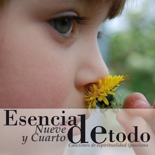 Si Aprendo a Conocerte