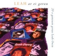 Dim Ond Gair