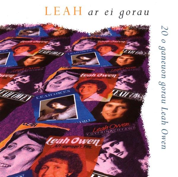 Dim Ond Gair