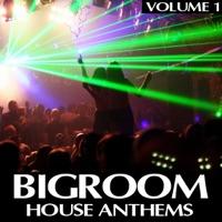 Big Fish (Original Club Dub Mix)