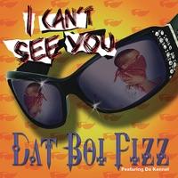 I Can't See You (Radio Version)