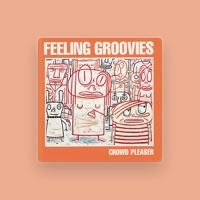 The Feeling Groovies