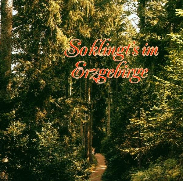 Fahr ins Arzgebirg