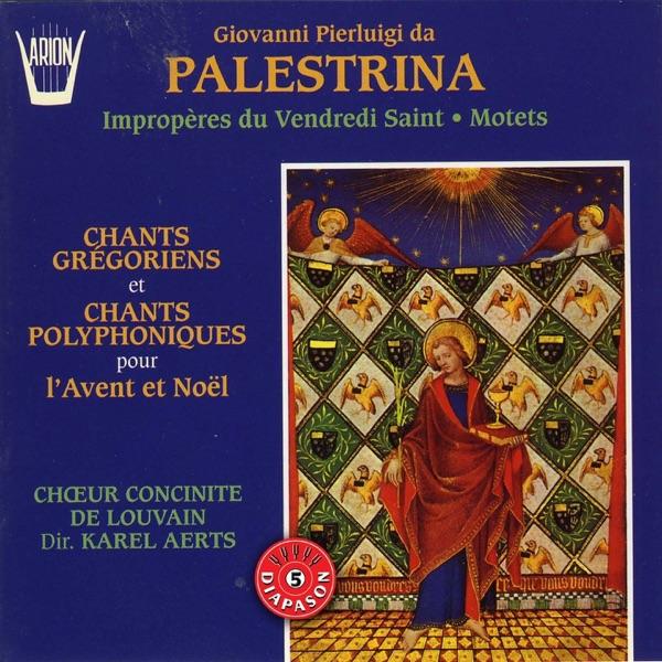 Hodie apparuit in Israel
