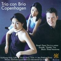 Piano Trio No. 4 In e Minor, Op. 90, B. 166, "Dumky": III. Andante - Vivace Non Troppo - Andante - Allegretto