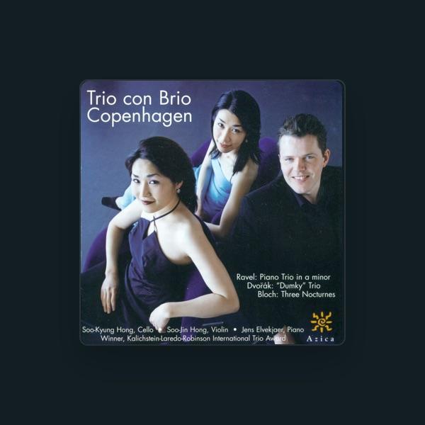 Copenhagen Trio con Brio