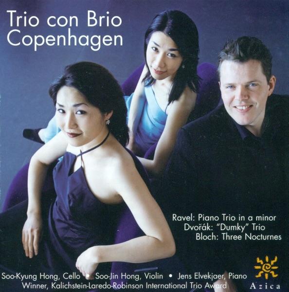 Piano Trio No. 4 In e Minor, Op. 90, B. 166, "Dumky": III. Andante - Vivace Non Troppo - Andante - Allegretto