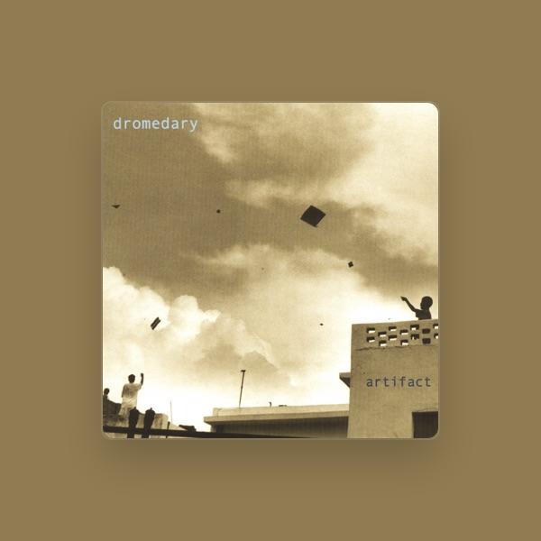 Dromedary