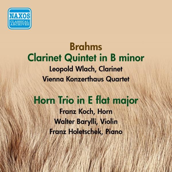 Clarinet Quintet in B minor, Op. 115: I. Allegro