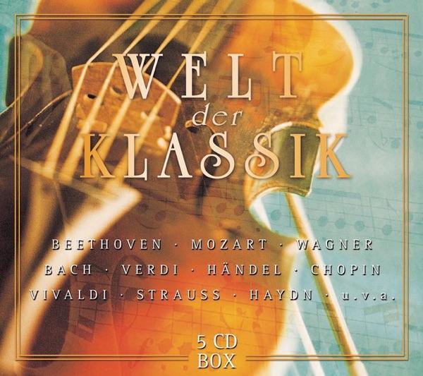 Symphonie No. 4, e-moll, Op. 98: I. Satz: Allegro non troppo