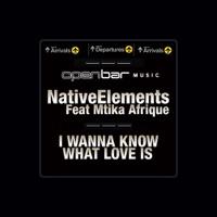 NativeElements