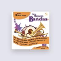 Banda Los Dorados