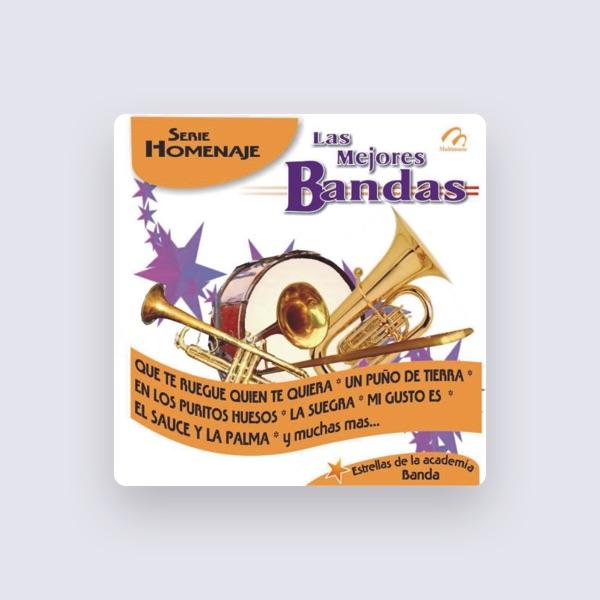 Banda Los Dorados
