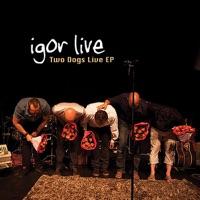 Pain and the Laughter (Live 2011)