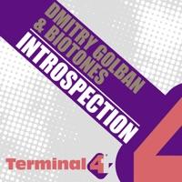 Introspection (Domestic Technology Remix)