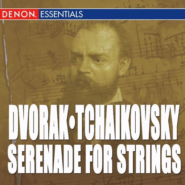 Serenade for Strings In e Major, Op. 22: IV. Larghetto