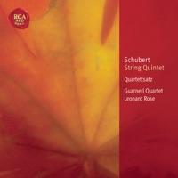 String Quintet D. 956 (Op. 163) in C: Allegro ma non troppo