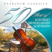 Piano Concerto in A Minor, Op. 54: III. Allegro vivace