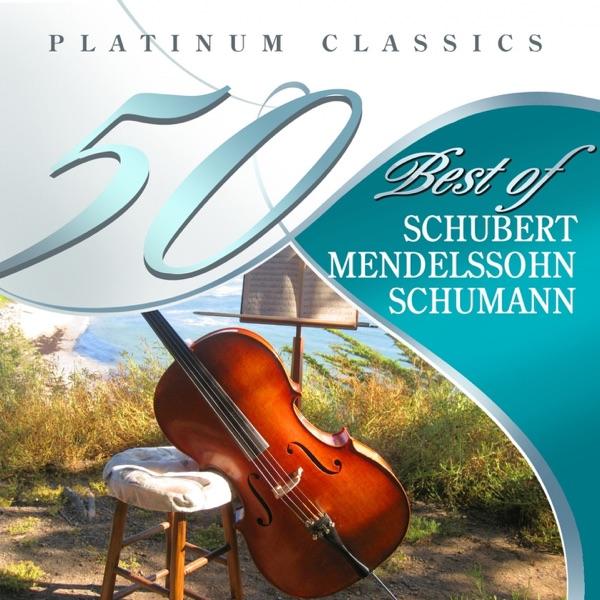 Symphony No. 1 in B-Flat Major, Spring, Op. 38: II. Larghetto
