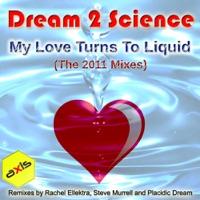 My Love Turns To Liquid 2011 (Placidic Dream Remix)