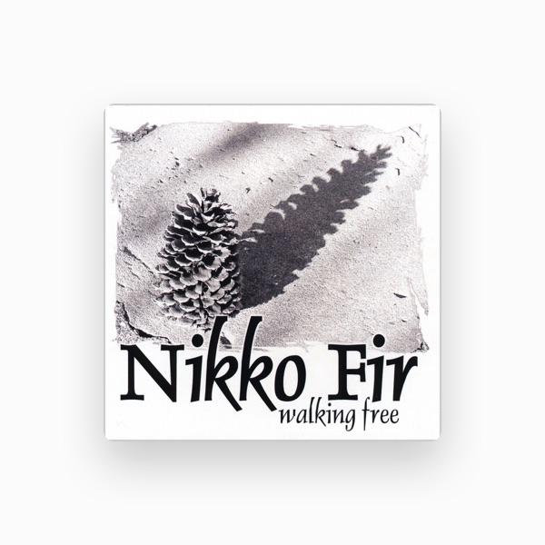 Nikko Fir