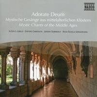 Ambrosian Chant: Te laudamus (transitorium)
