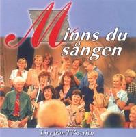 Så Stor Är Gud