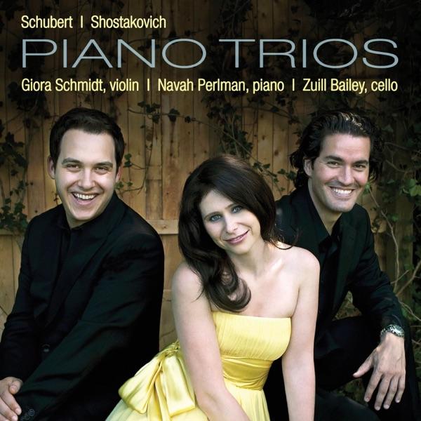 Piano Trio No. 2 in E Minor, Op. 67: II. Allegro non Troppo