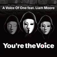 You're the Voice