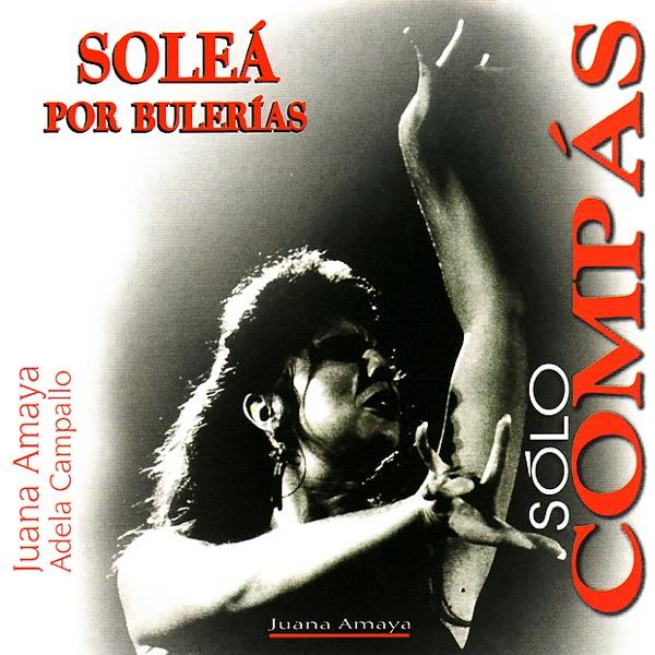 Solea Por Bulerias, Tempo 144 (Solo Compas)