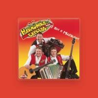 Harmonika-Express