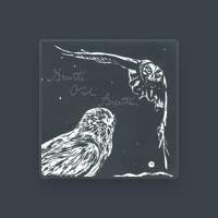 Breathe Owl Breathe